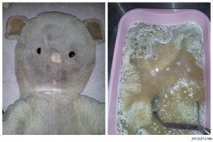 Jimmy the piggy getting his first bath! He was so dirty, that the water turned brown immediately after putting him in the tub! He will need many baths to get all nice and clean again